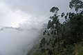Sri Lanka cloud forest.jpg
