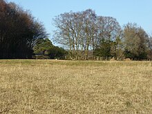 St Dunstan's Farm Meadows (3) .jpg