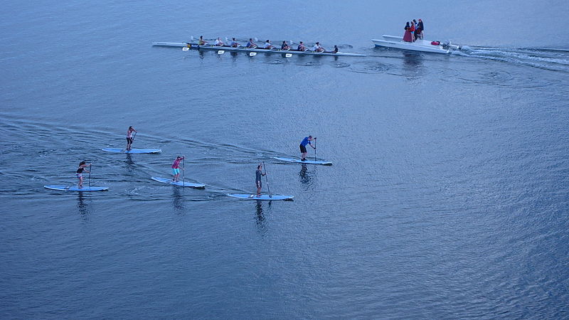 File:Standing Paddleboarders and Rowers in Upper Newport Bay (Newport Beach, California).jpg