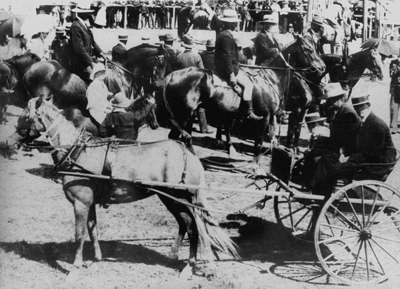 File:StateLibQld 2 180055 Judging the horses at the Stanthorpe Show, 1903.jpg