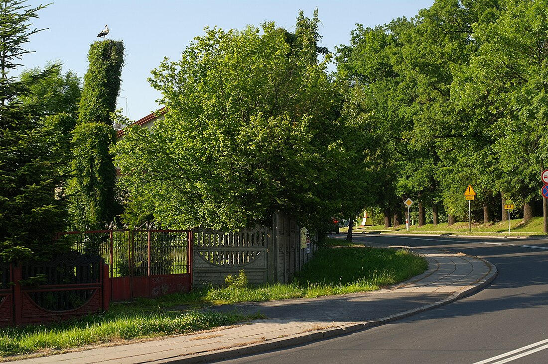 Będków (Tomaszów Mazowiecki)