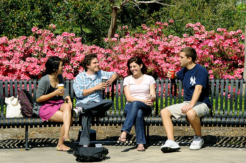 File:Students enjoy a study break on a park bench, New Orleans 2011.jpg