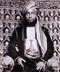 Sultan Ali bin Said of Zanzibar (1891).jpg