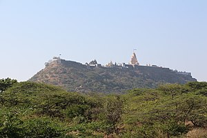 Shatrunjaya Hills