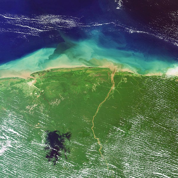 File:Suriname and French Guiana captured by Envisat ESA208295.tiff