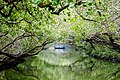 * Nomination: A tunnel of mangroves in Taijiang National Park, Taiwan. --和平奮鬥救地球 17:56, 15 April 2021 (UTC) * * Review needed