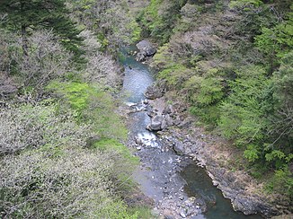 Bords supérieurs du Tama depuis le pont Sakai à Okutama