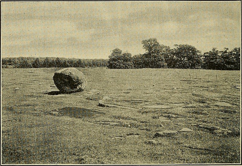 File:The Canadian field-naturalist (1932) (20332984979).jpg