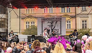 The Desperate Mind Czech punk rock band