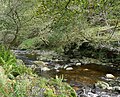 Miniatuur voor Bestand:The Sulby River at Tholt-y-wil - geograph.org.uk - 5570870.jpg