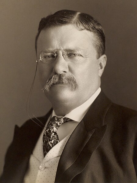 Image: Theodore Roosevelt by the Pach Bros (cropped 3x 4)