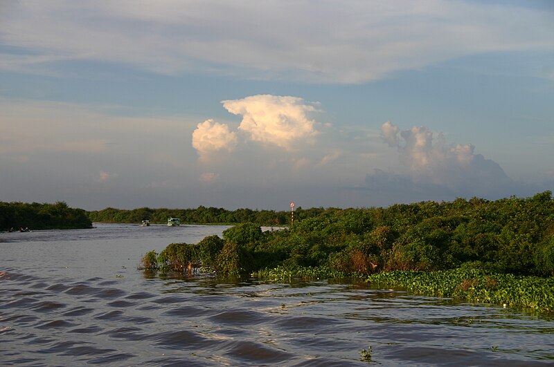 File:Tonle Sap - dopływ.JPG