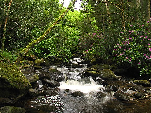 File:Torc_Waterfall_at_Killarney_National_Park2.jpg