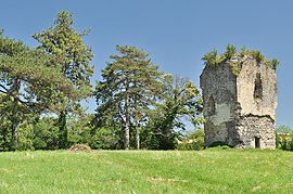 Tour du Poulet