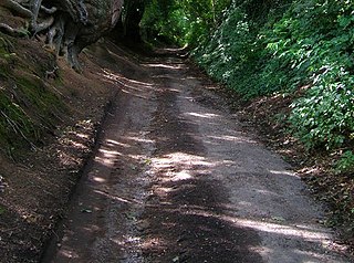 Park Farm Cutting