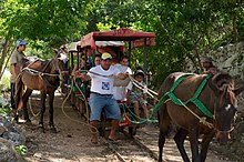 Horse-drawn Decauville "trucks" in Cuzama, 2010. Horse-drawn streetcars are still used in Cuzama. Transporte a Cenotes Cuzama.jpg