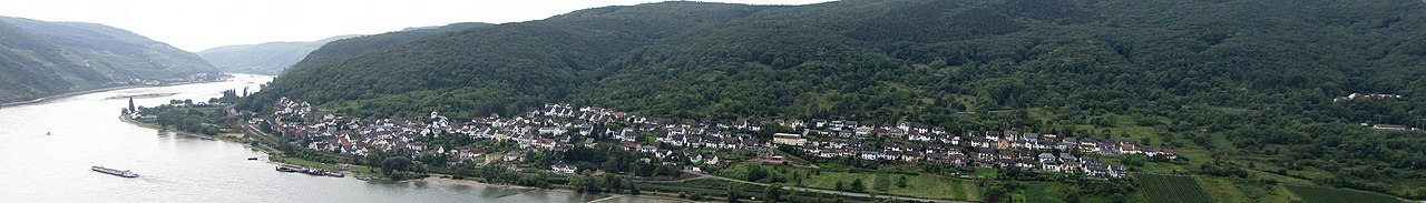 Trechtingshausen-banner-01.jpg