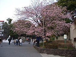 上野公園