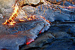 Tree on fire in active lava flow, Hawaii Volcanoes National Park, USA