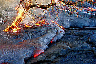 Tree on fire in active lava flow