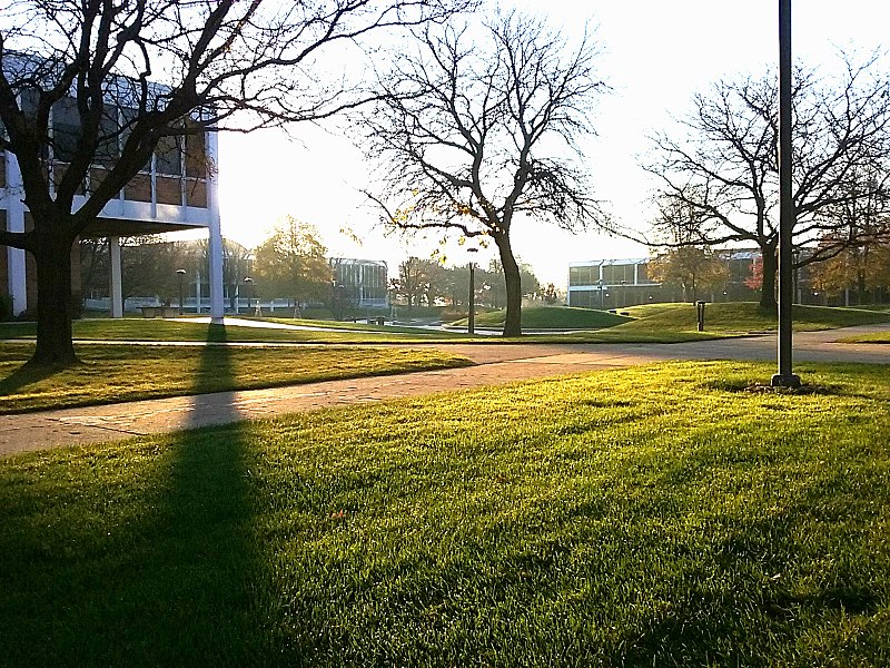 File:Triton College Campus in Morning.jpg