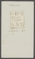 Tubicolaria quadriloba - - Print - Iconographia Zoologica - Special Collections University of Amsterdam - UBAINV0274 101 04 0005.tif