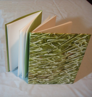 <span class="mw-page-title-main">Dos-à-dos binding</span> Type of book binding