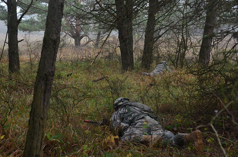 File:U.S. Soldiers with Battle Company, 2nd Battalion, 503rd Infantry Regiment, 173rd Airborne Brigade Combat Team maneuver into position during a European rotational force exercise at the Joint Multinational 131113-A-EM978-002.jpg