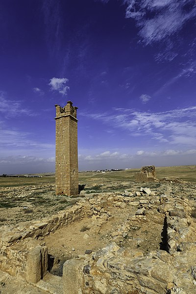 File:Umm ar-Rasas - Stylite tower.jpg