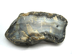 A chunk of agate in grayish and golden colors with the split face showing internal fortification banding along with a black dendritic formation.