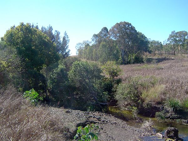 Upper river at Rosevale, 2011