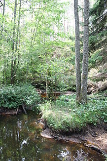 Glacial valley on the lower reaches