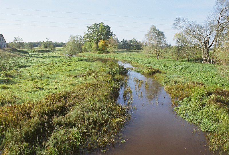 File:Vanamõisa jõgi, 2007.jpg