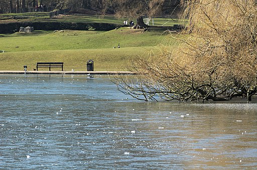 Verulamium-Park-20060304-001