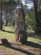 Menhir des Veyssières.