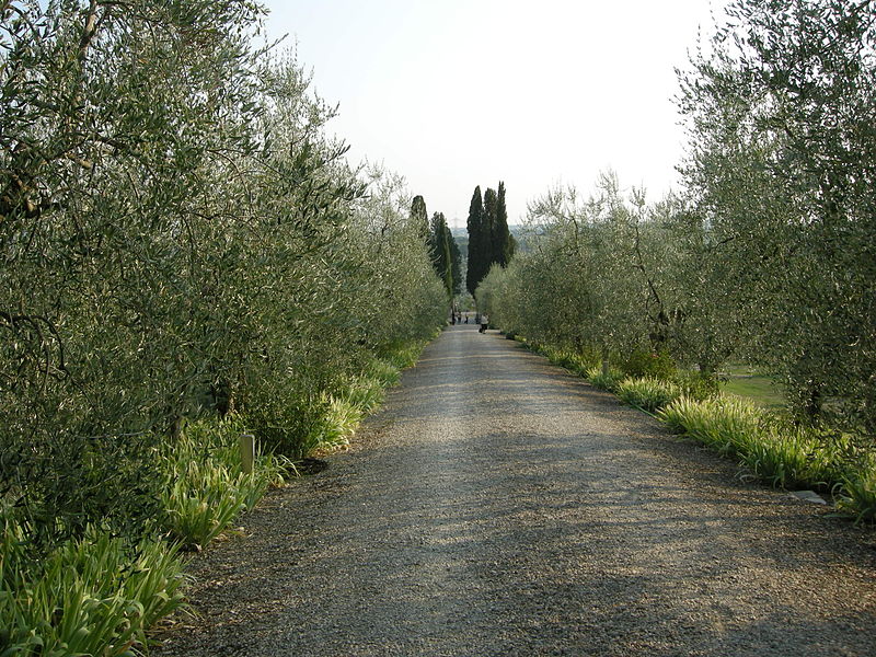 File:Villa la sfacciata, viale di ingresso 02.JPG