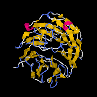 WDR53 Protein-coding gene in the species Homo sapiens