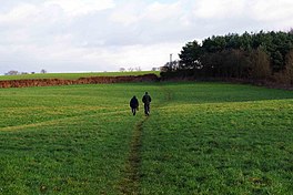 Two walkers on a path in a field