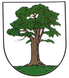 Wappen der Stadt Berga (Elster)