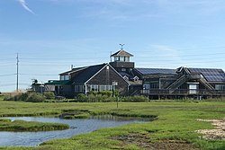 Lahan basah Institute, Stone Harbor, NJ - cari north.jpg