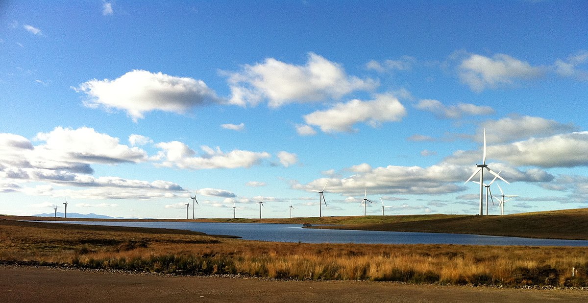Big fans: Wind powers half of UK's energy needs with new record