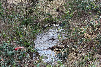 Der Dornbach in Gemeindegebiet von Wied