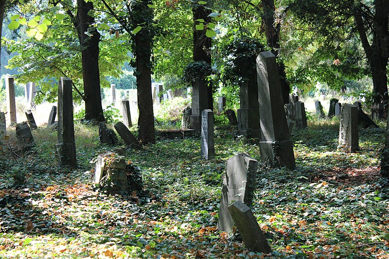 File:Wien Zentralfriedhof, alter jüdischer Friedhof 4.jpg