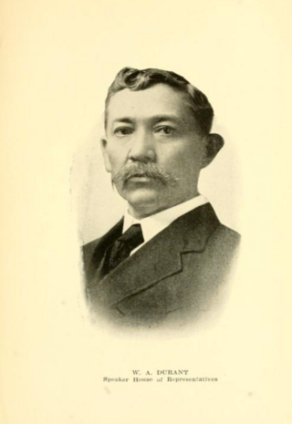 <span class="mw-page-title-main">William A. Durant</span> American politician