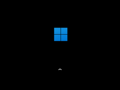 Windows 11