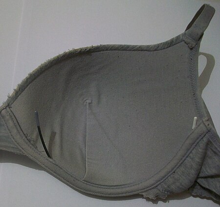 Tập_tin:Worn_bra_with_protruding_metal_underwire_(cropped).jpg