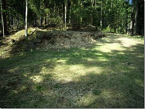 Destruction of Burgstall Erlach by a "forest highway"