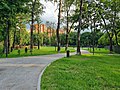 * Nomination: Public garden on 4th Lyuberetsky Proezd, Moscow. --Александр Мотин 12:19, 18 July 2022 (UTC) * * Review needed