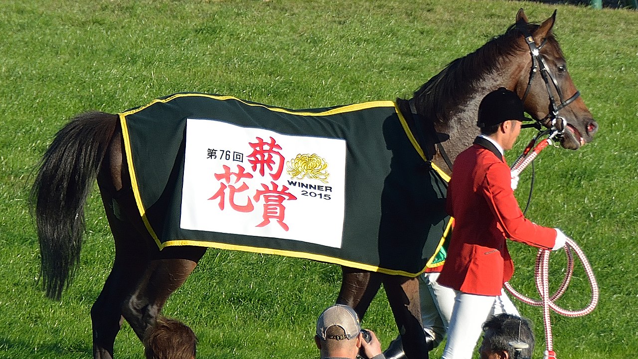 ファイル:第76回菊花賞で馬着を着装した勝利馬キタサンブラック.JPG 