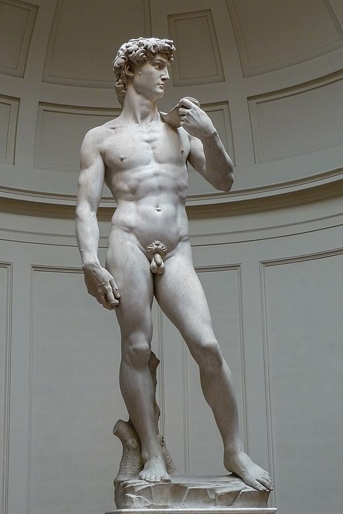 David by Michelangelo, 1501–1504. Artistic work during the Renaissance illustrates the emphasis given to anatomical details of humans.